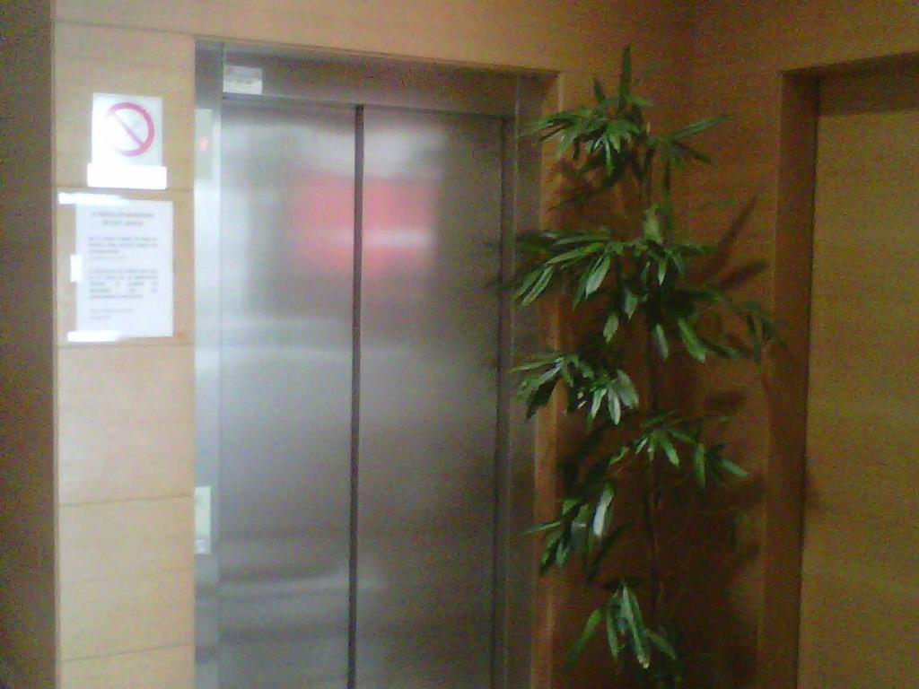 Hostal Rambla Sant Boi de Llobregat Dış mekan fotoğraf